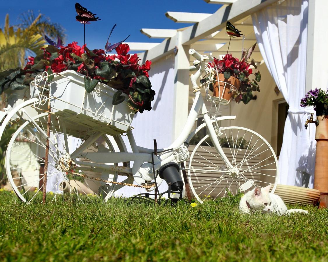 Oasi Siciliana Apartment Terrasini Luaran gambar